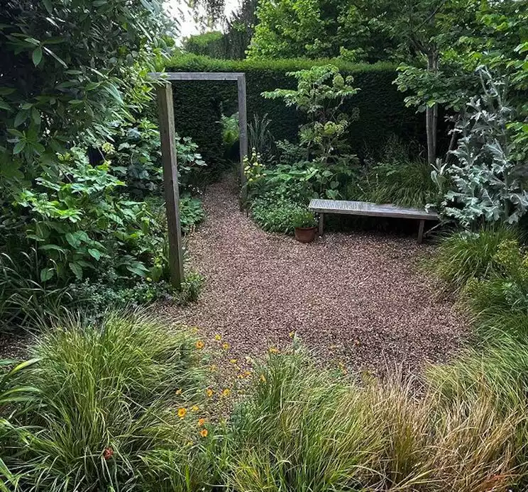 Garden enclosed by hedges with many green plants of varying textures, with gravel walkway and bench