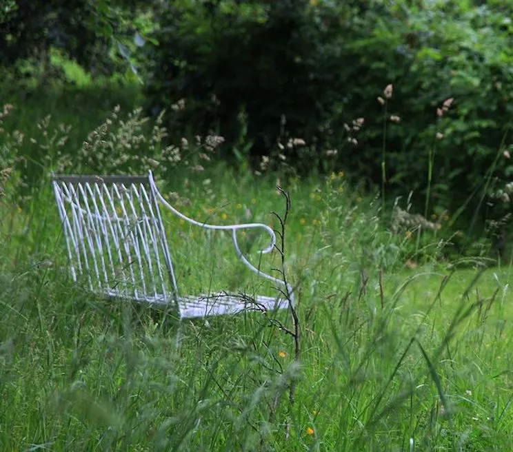 Meadow grass with white painted metal bench