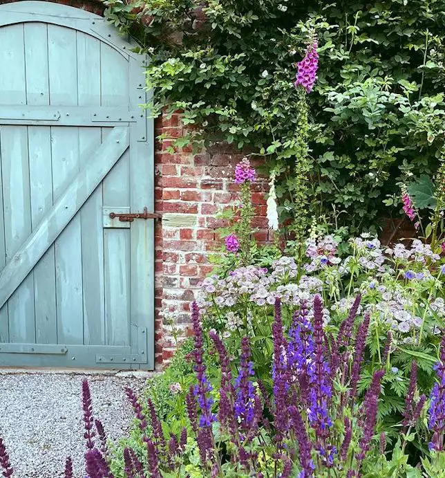 Brick wall with blue door and vines near garden bed with foxgloves, salvia and asters