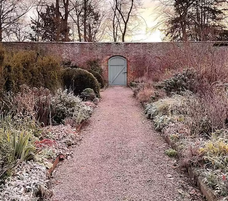 Garden in winter with gravel path down middle of two beds full of foliage