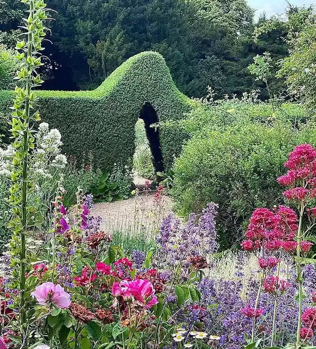 Large topiary hegde behind colorful cottage garden flowers in an English garden