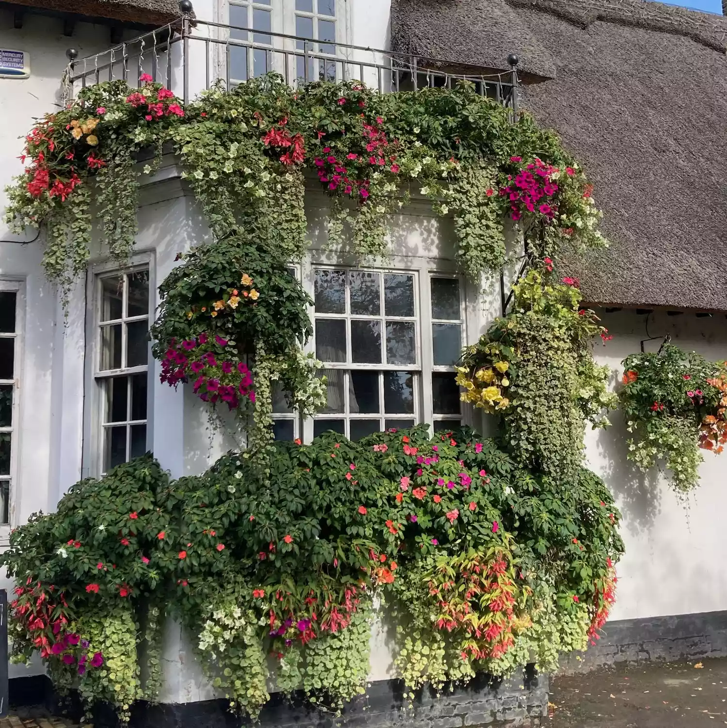 Pub exterior with overflowing window boxes and hanging baskets of colorful annuals