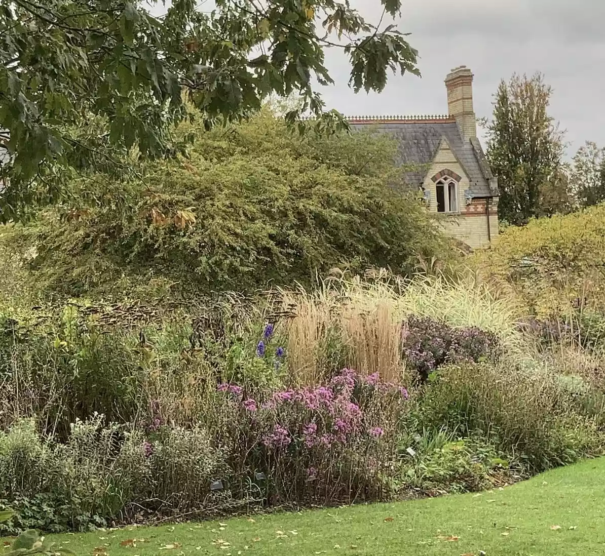 English garden in autumn with long grasses and shrubs with country house in distance